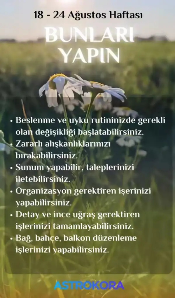 Screenshot_20250816-205232_Instagram.webp