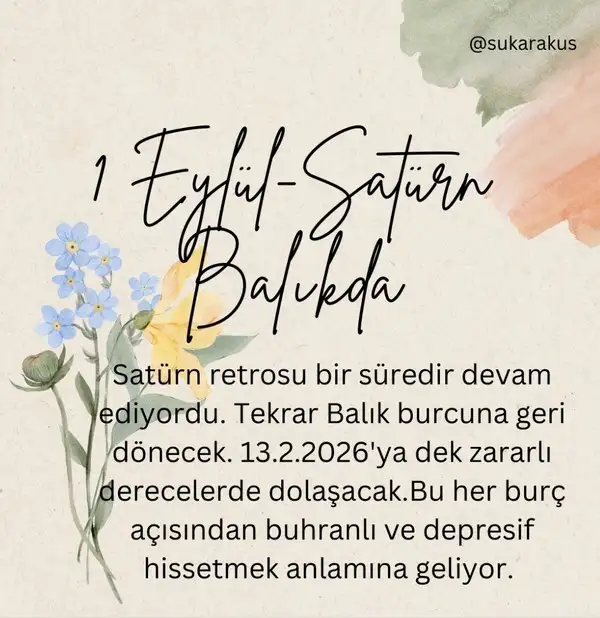 Screenshot_20250818-094946_Instagram.webp