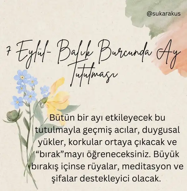 Screenshot_20250818-095007_Instagram.webp
