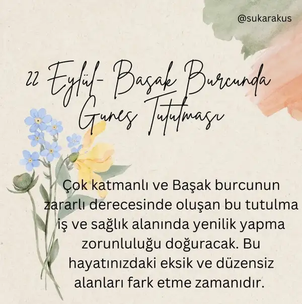 Screenshot_20250818-095019_Instagram.webp