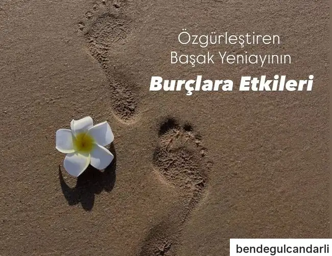 Screenshot_20250820-132956_Instagram.webp