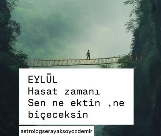 Screenshot_20250829-181954_Instagram.webp