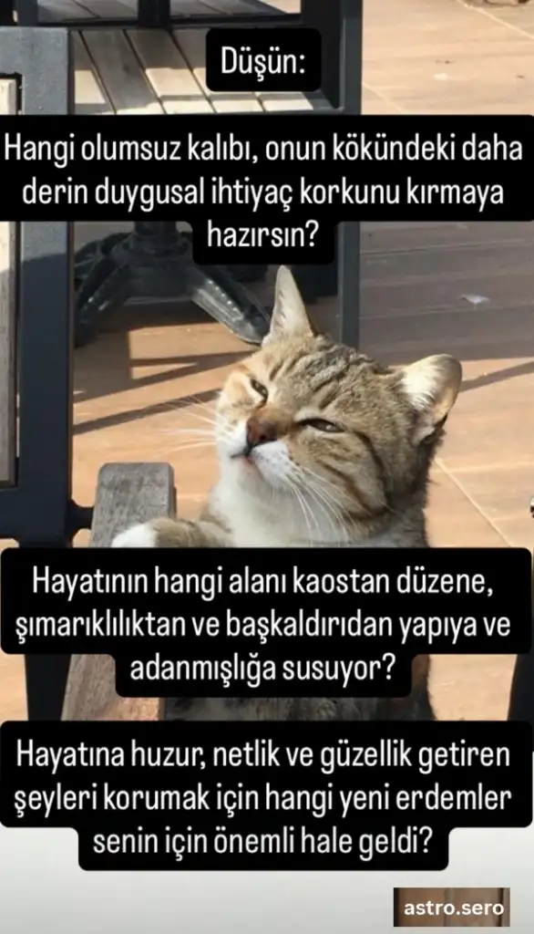 Screenshot_20250902-215332_Instagram.webp