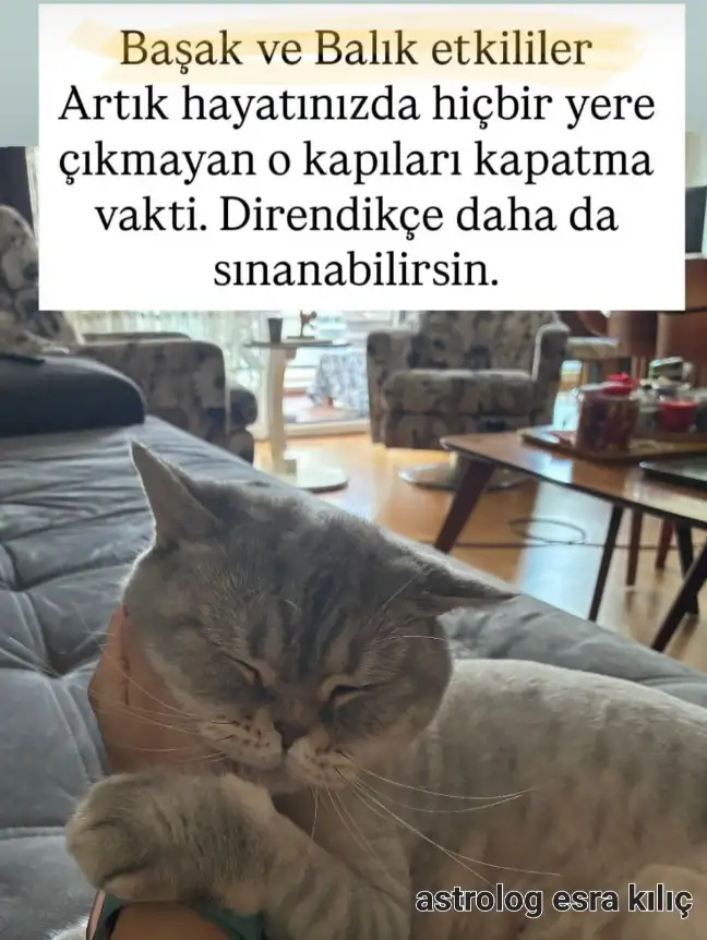 Screenshot_20250913-185952_Instagram.webp