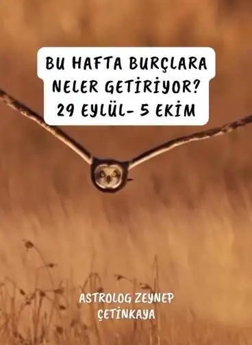 Screenshot_20250927-222351_Instagram.webp