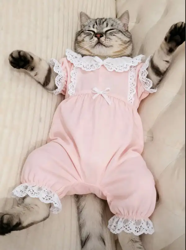 Screenshot_20251001-134850.webp