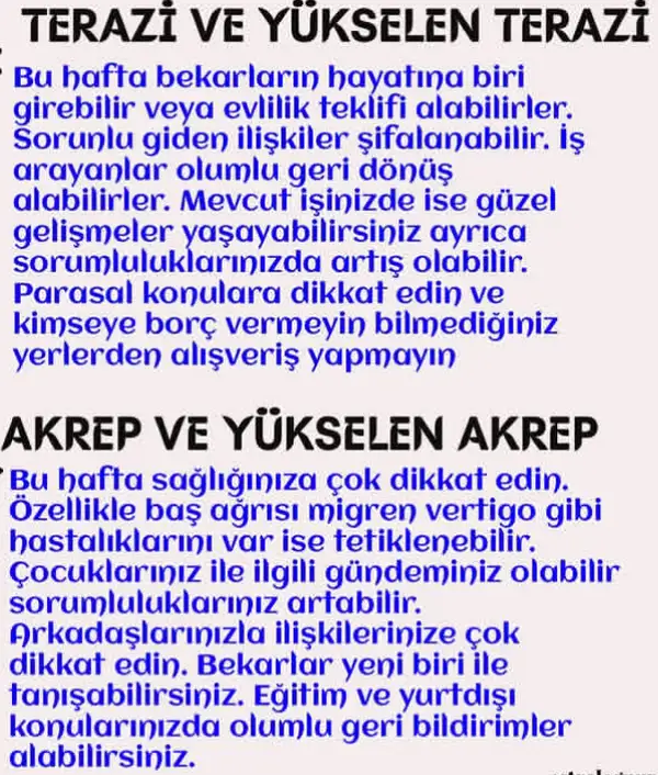 Screenshot_20251005-202558.webp
