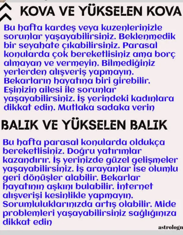 Screenshot_20251005-202610.webp