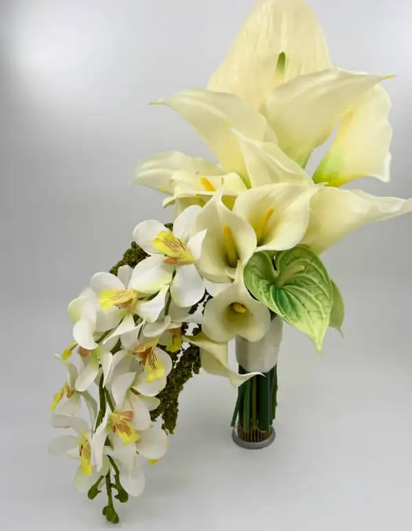 Screenshot_20251010-102227.webp