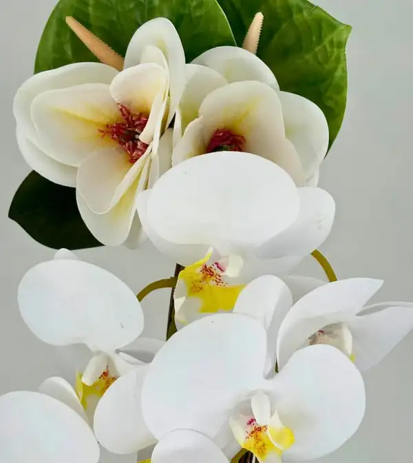 Screenshot_20251010-102309.webp