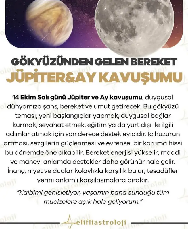 Screenshot_20251011-225312.webp
