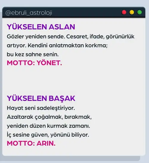 Screenshot_20251013-105452.webp