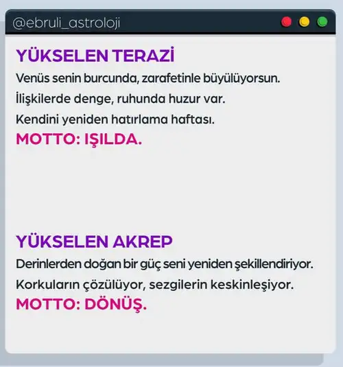 Screenshot_20251013-105454.webp