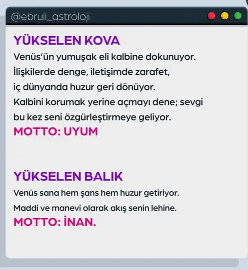 Screenshot_20251013-105458.webp
