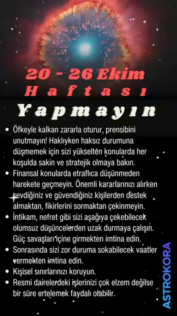Screenshot_20251018-210638.webp