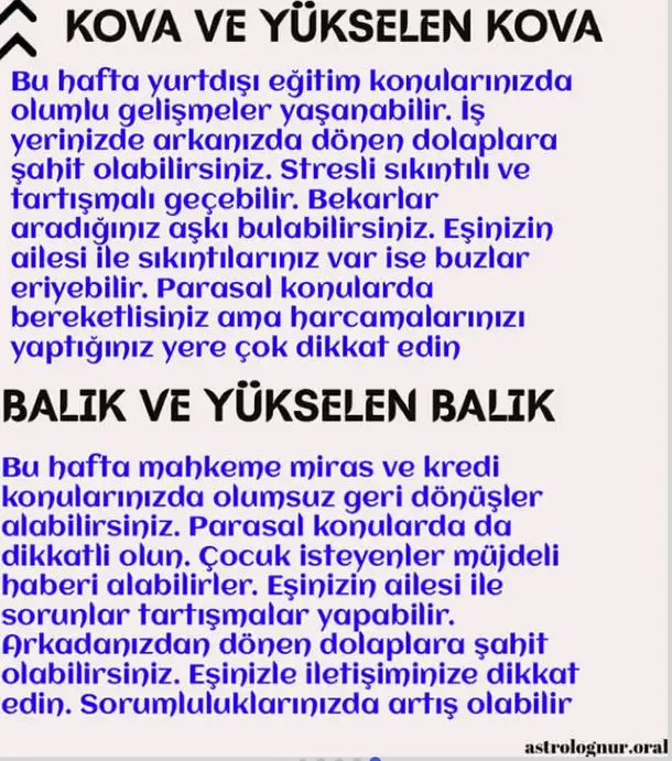 Screenshot_20251019-230708.webp