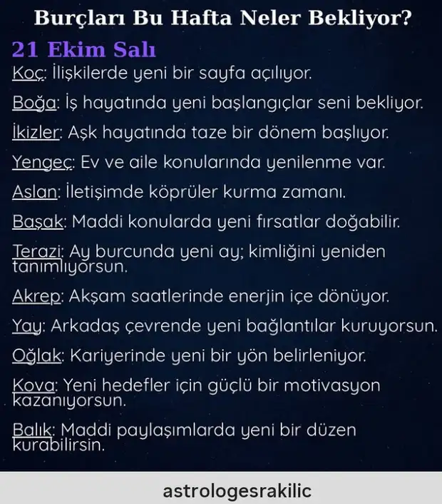 Screenshot_20251020-203706.webp