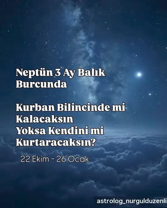 Screenshot_20251021-224339.webp