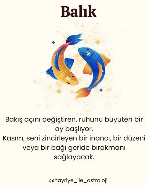 Screenshot_20251030-150450 (1).webp