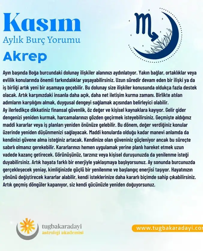 Screenshot_20251102-120410 (1).webp