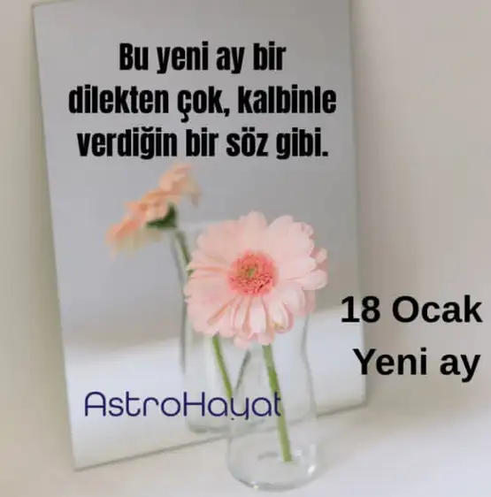 Screenshot_20260112-202544.webp