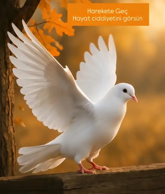 Screenshot_20260118-122753.webp