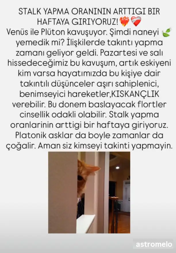 Screenshot_20260118-225603.webp