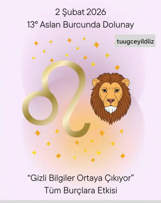 Screenshot_20260130-121411.webp