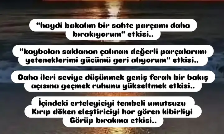 Screenshot_20260130-231558.webp
