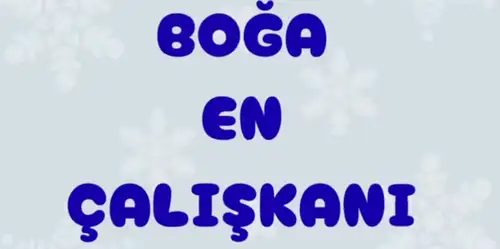 Screenshot_20260201-001937.webp