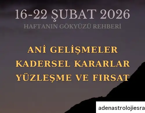 Screenshot_20260214-200948.webp