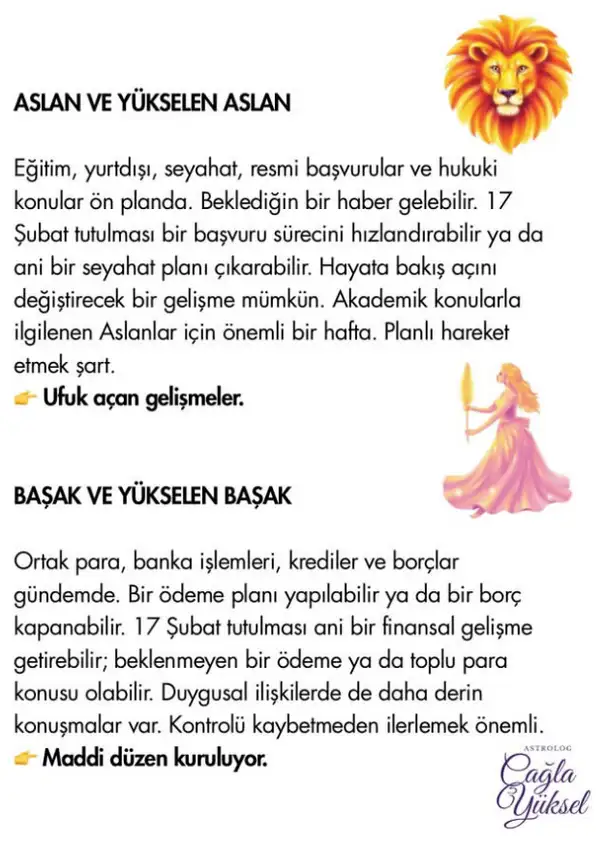 Screenshot_20260215-153422.webp