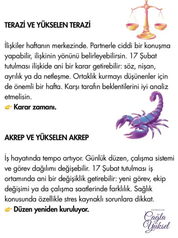 Screenshot_20260215-153424.webp