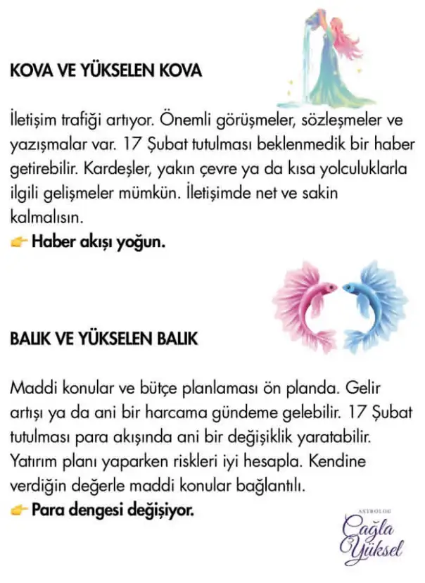 Screenshot_20260215-153427.webp