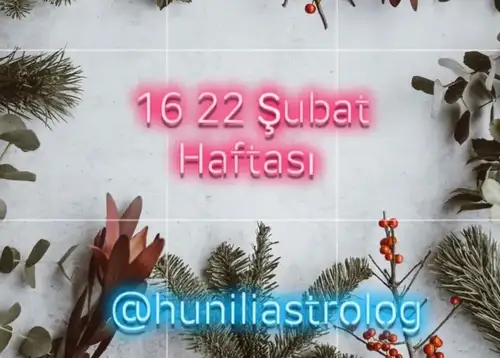 Screenshot_20260215-164211.webp