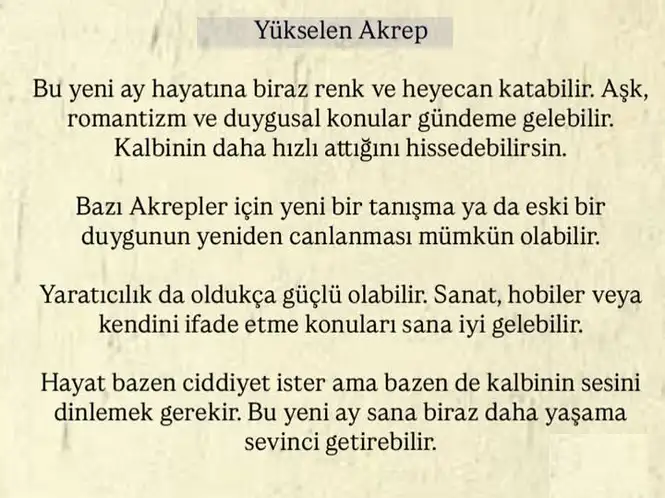 Screenshot_20260312-140705.webp