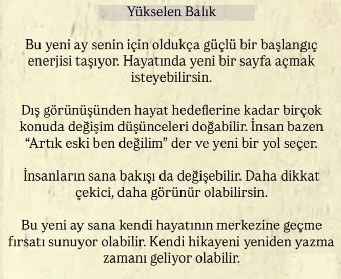 Screenshot_20260312-140714.webp