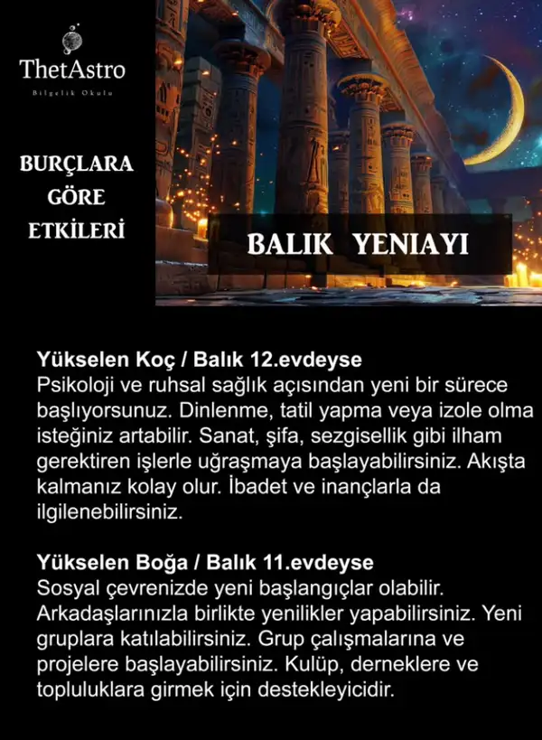 Screenshot_20260315-165456.webp
