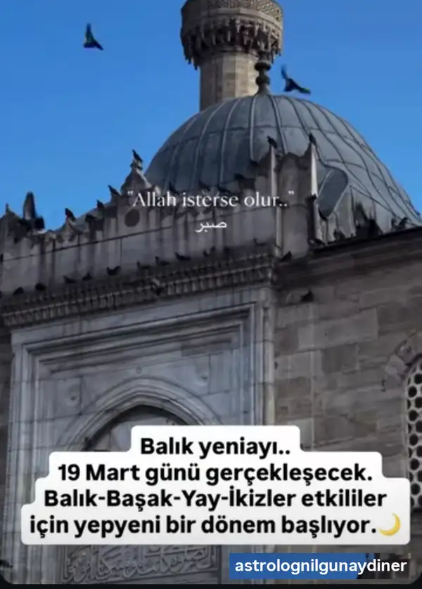 Screenshot_20260316-230250.webp
