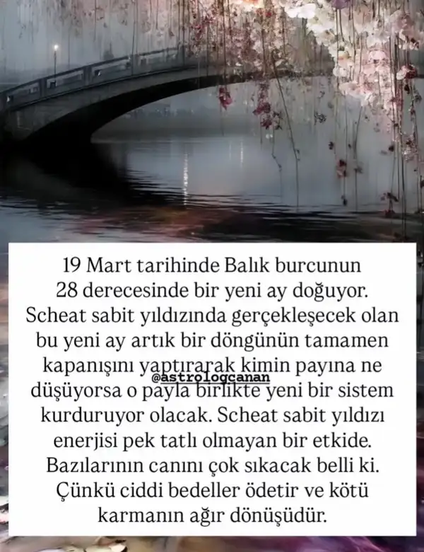 Screenshot_20260318-225303.webp