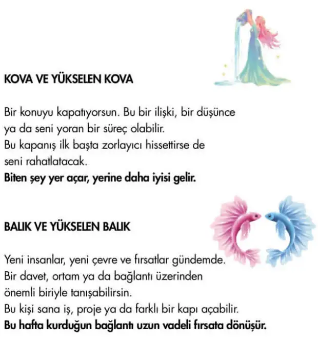 Screenshot_20260329-162741.webp
