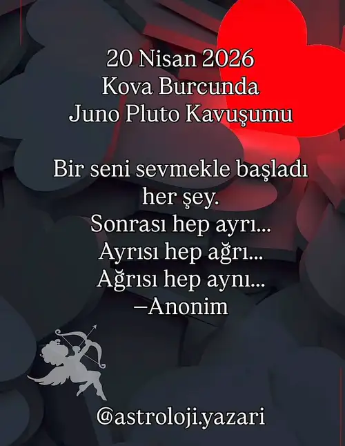 Screenshot_20260419-222943.webp