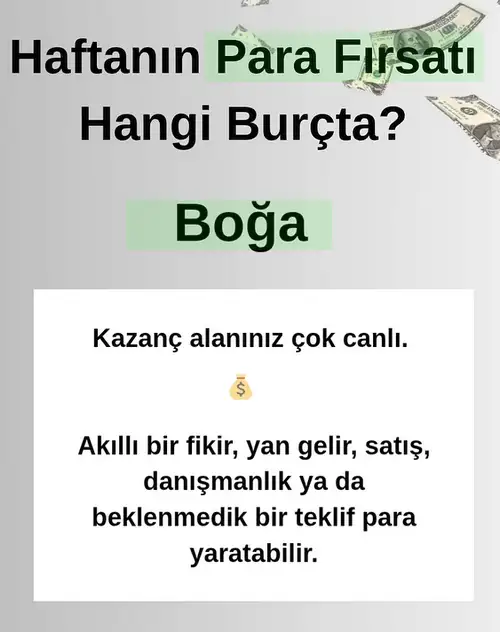 Screenshot_20260426-191218.webp