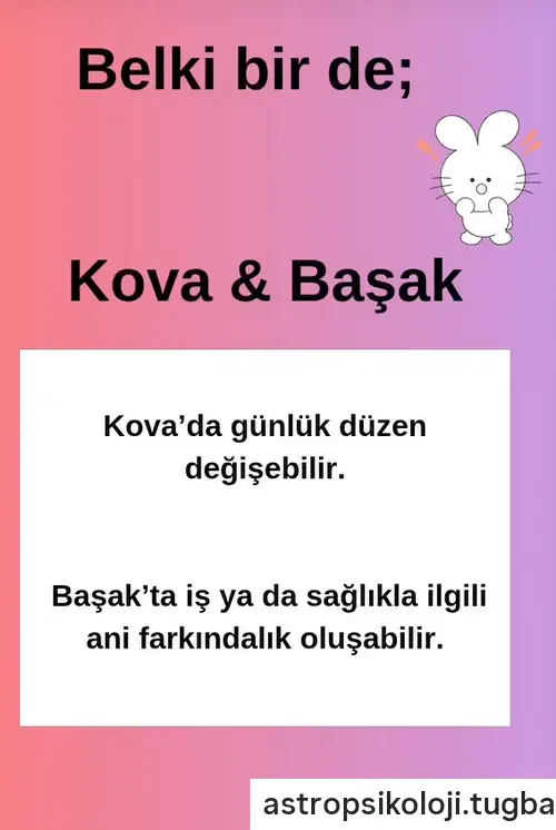 Screenshot_20260504-120606.webp