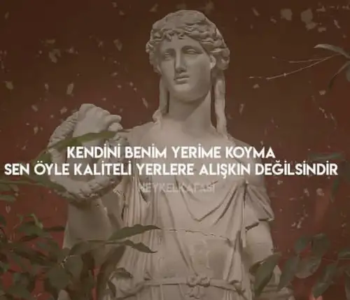 Screenshot_20260504-231856.webp