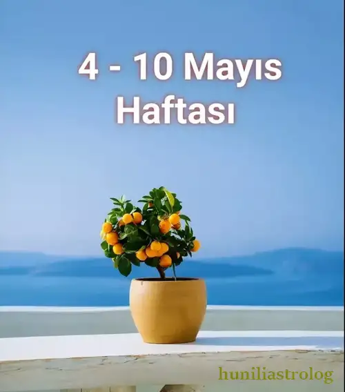 Screenshot_20260504-233010.webp