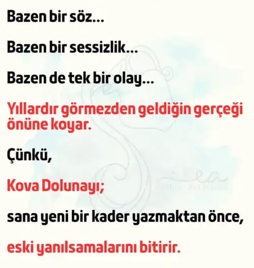 Screenshot_20260728-193328.webp