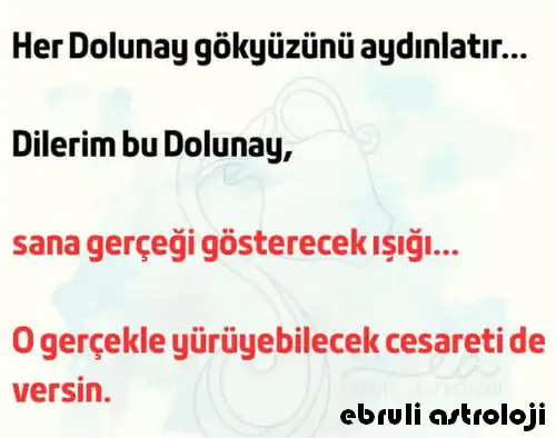 Screenshot_20260728-193329.webp