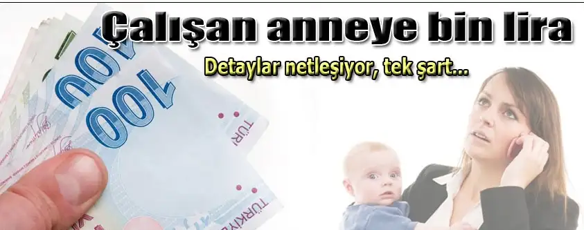 sdddd.webp