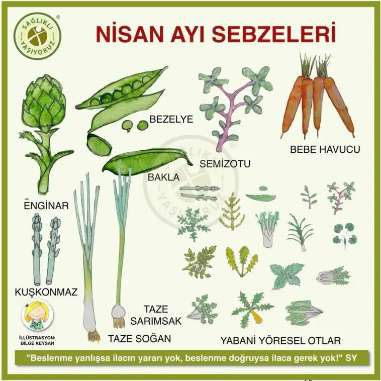 sebzeler-758x758.webp